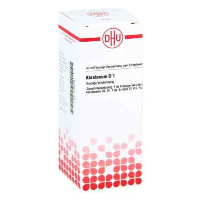 Abrotanum D1 Dilution bei apo-discounter.de bestellen