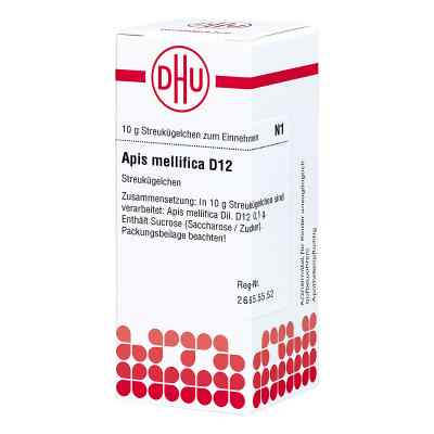 Apis Mellifica D12 Globuli bei apo-discounter.de bestellen