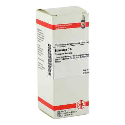 Echinacea Hab D6 Dilution bei apo-discounter.de bestellen
