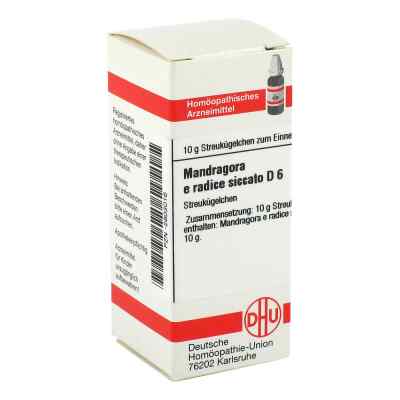 Mandragora E Radice Sic. D 6 Globuli bei apo-discounter.de bestellen