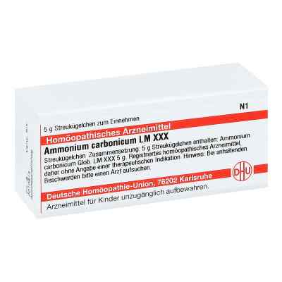 Lm Ammonium Carbonicum Xxx Globuli bei apo-discounter.de bestellen