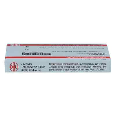Euphrasia D3 Ampullen bei apo-discounter.de bestellen