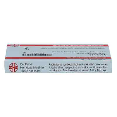 Apocynum D6 Ampullen bei apo-discounter.de bestellen