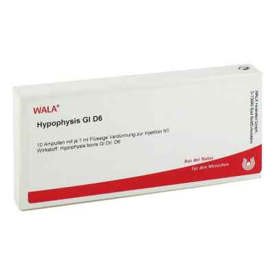 Hypophysis Gl D6 Ampullen bei apo-discounter.de bestellen