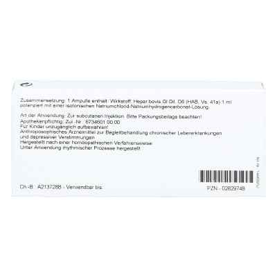 Hepar Gl D6 Ampullen bei apo-discounter.de bestellen