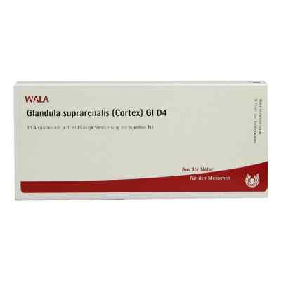 Glandula Supraren. Cort. Gl D4 Ampullen bei apo-discounter.de bestellen