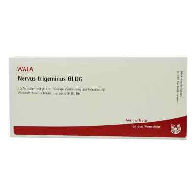 Nervus Trigeminus Gl D6 Ampullen bei apo-discounter.de bestellen