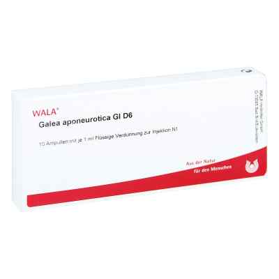 Galea Aponeurotica Gl D6 Ampullen bei apo-discounter.de bestellen