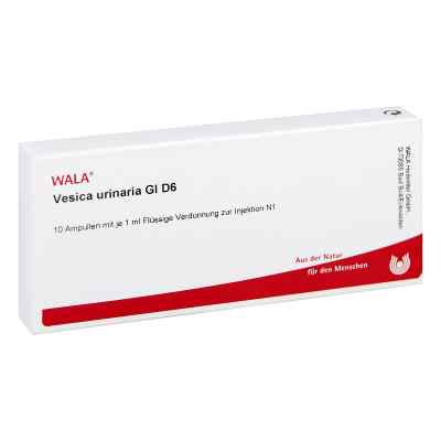 Vesica Urinaria Gl D6 Ampullen bei apo-discounter.de bestellen