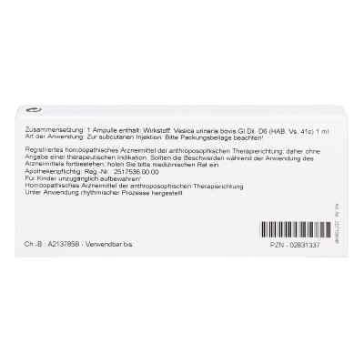 Vesica Urinaria Gl D6 Ampullen bei apo-discounter.de bestellen