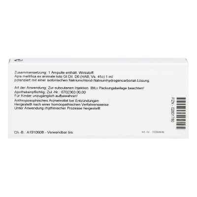 Apis Ex Animale Gl D6 Ampullen bei apo-discounter.de bestellen