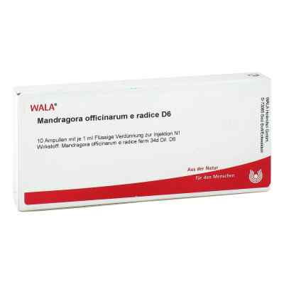Mandragora Off. E Rad. D6 Ampullen bei apo-discounter.de bestellen