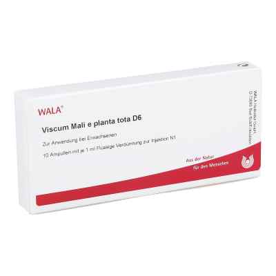 Viscum Mali e planta tota D6 Ampullen bei apo-discounter.de bestellen