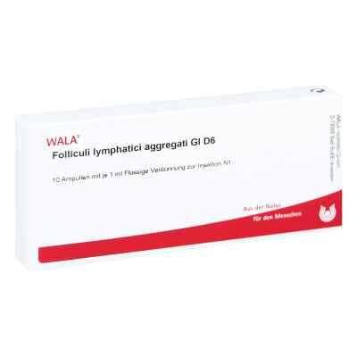Folliculi Lymph. Aggr. Gl D6 Ampullen bei apo-discounter.de bestellen