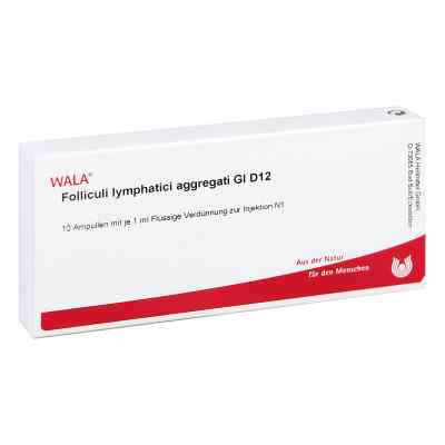 Folliculi Lymph. Aggr. Gl D12 Ampullen bei apo-discounter.de bestellen
