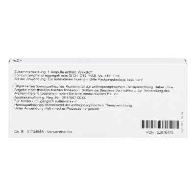 Folliculi Lymph. Aggr. Gl D12 Ampullen bei apo-discounter.de bestellen