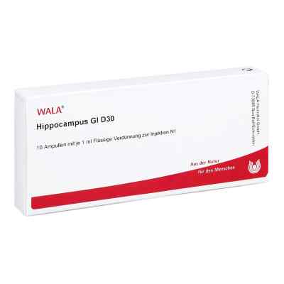Hippocampus Gl D30 Ampullen bei apo-discounter.de bestellen