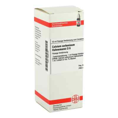 Calcium Carbonicum D6 Dilution Hahnemanni bei apo-discounter.de bestellen