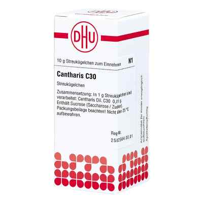 Cantharis C 30 Globuli bei apo-discounter.de bestellen