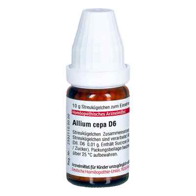 Allium Cepa D6 Globuli bei apo-discounter.de bestellen