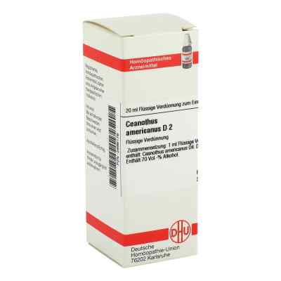 Ceanothus Americanus D2 Dilution bei apo-discounter.de bestellen