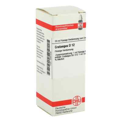 Crataegus D12 Dilution bei apo-discounter.de bestellen