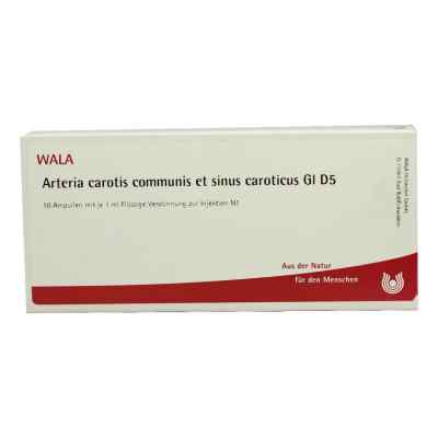 Arteria Car.com.et Sin.car.gl D5 Ampullen bei apo-discounter.de bestellen