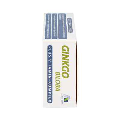 Ginkgo 100 mg Kapseln+b1+c+e bei apo-discounter.de bestellen