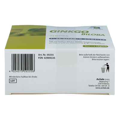 Ginkgo 100 mg Kapseln+b1+c+e bei apo-discounter.de bestellen