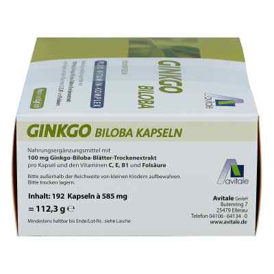 Ginkgo 100 mg Kapseln+b1+c+e bei apo-discounter.de bestellen