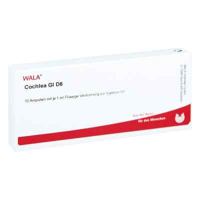 Cochlea Gl D6 Ampullen bei apo-discounter.de bestellen