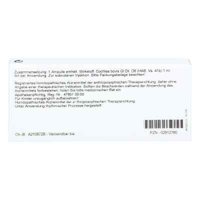 Cochlea Gl D6 Ampullen bei apo-discounter.de bestellen