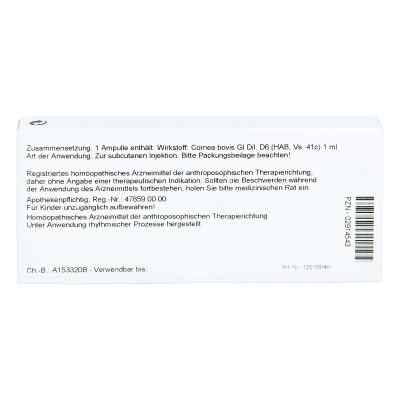 Cornea Gl D6 Ampullen bei apo-discounter.de bestellen