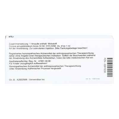 Corpus Amygdaloideum Gl D15 Ampullen bei apo-discounter.de bestellen