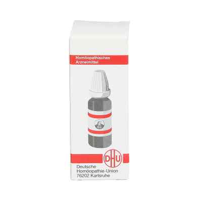 Helleborus D 4 Globuli bei apo-discounter.de bestellen