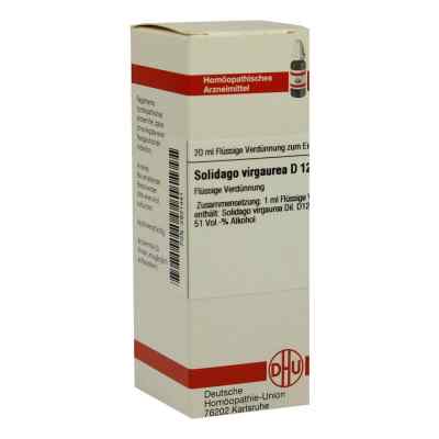 Solidago Virgaurea D12 Dilution bei apo-discounter.de bestellen