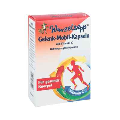 Gelenk Mobil Kapseln mit Grünlippmuschel Pulver bei apo-discounter.de bestellen