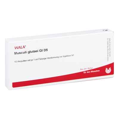 Musculi Glutaei Gl D5 Ampullen bei apo-discounter.de bestellen