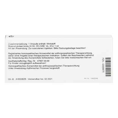 Musculi Glutaei Gl D5 Ampullen bei apo-discounter.de bestellen