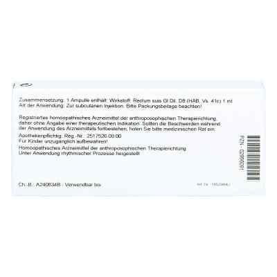 Rectum Gl D8 Ampullen bei apo-discounter.de bestellen