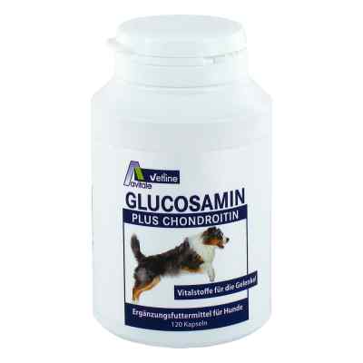Glucosamin+chondroitin Kapseln für Hunde bei apo-discounter.de bestellen