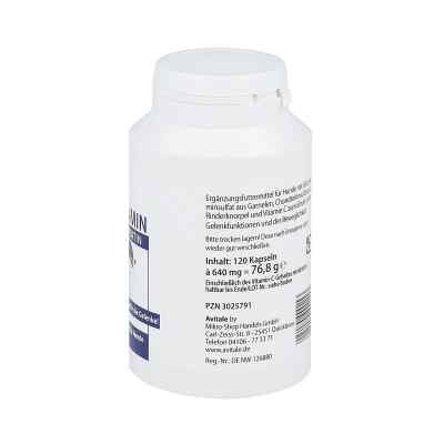 Glucosamin+chondroitin Kapseln für Hunde bei apo-discounter.de bestellen