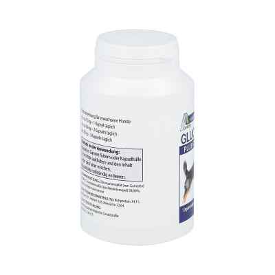 Glucosamin+chondroitin Kapseln für Hunde bei apo-discounter.de bestellen