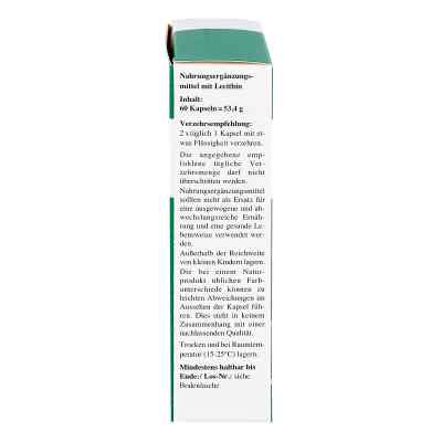 Lecithin Kapseln biolog. Alsitan bei apo-discounter.de bestellen