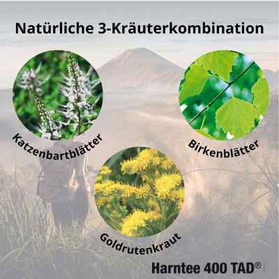 Harntee 400 TAD N bei apo-discounter.de bestellen