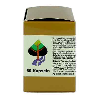 Lungenkraut indisches Kapseln bei apo-discounter.de bestellen