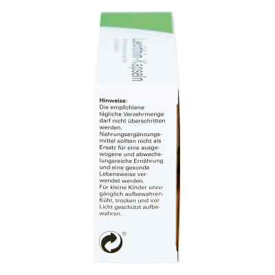 Lecithin Kapseln bei apo-discounter.de bestellen