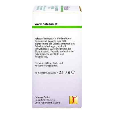 Hafesan Weihrauch+weidenrinde+brennessel Kapseln bei apo-discounter.de bestellen