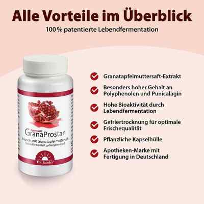 Granaprostan ferment Doktor jacob's Kapseln bei apo-discounter.de bestellen