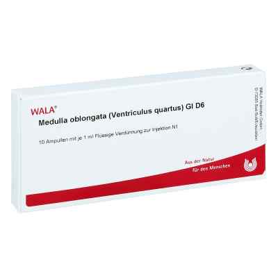 Medulla Oblongata Ven.qu.gl D6 Ampullen bei apo-discounter.de bestellen